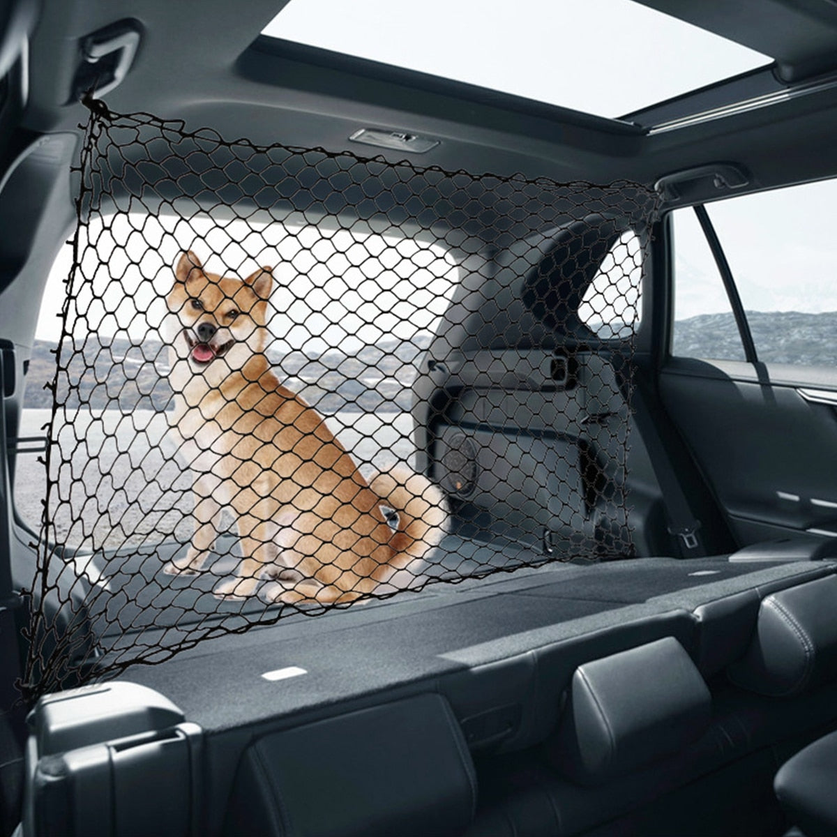 Vehicle Dog Barrier Net